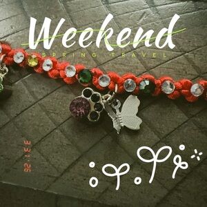 Red Beaded Charm Bracelet with Butterfly and Crystal Charms